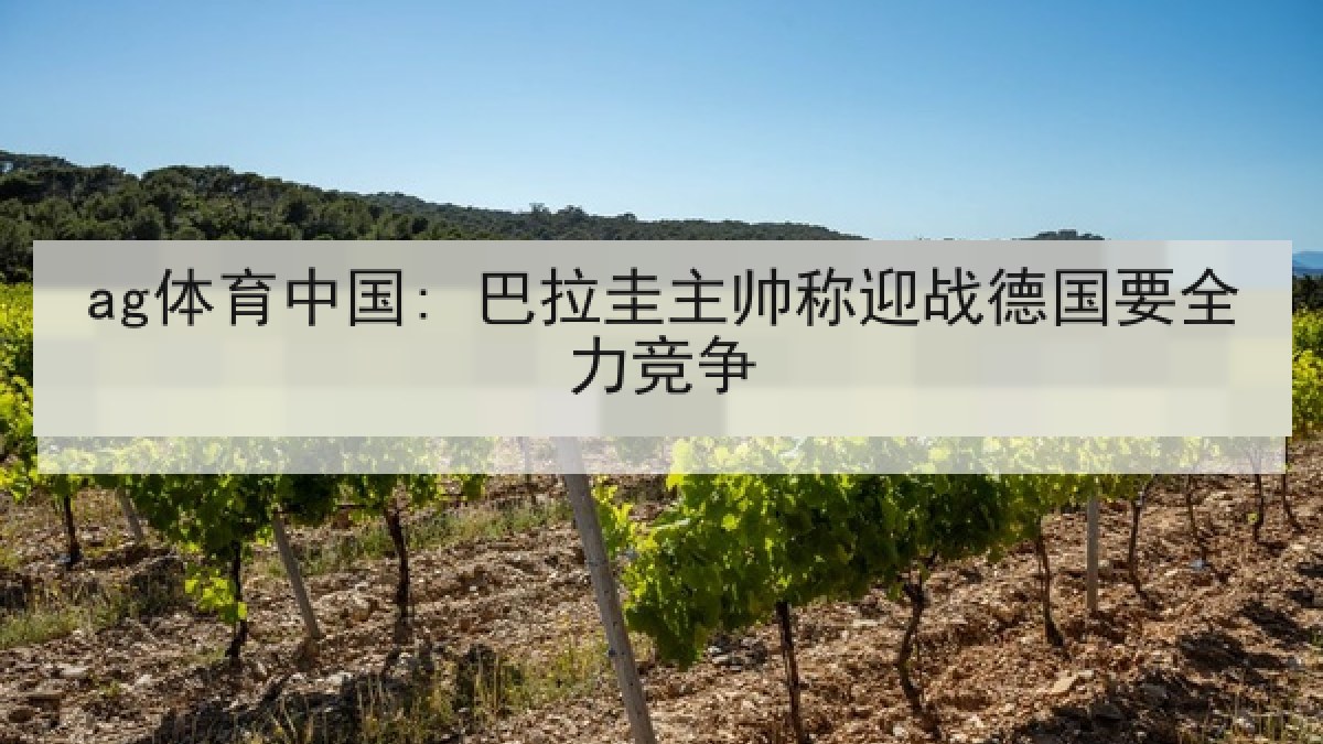 ag体育中国: 巴拉圭主帅称迎战德国要全力竞争