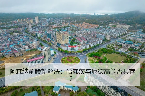 a-sen-na-qian-yao-xin-xie-fa-ha-fu-ci-yu-e-de-gao-neng-fou-gong-cun-2-278.jpg