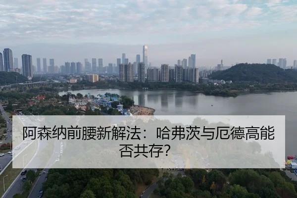 a-sen-na-qian-yao-xin-xie-fa-ha-fu-ci-yu-e-de-gao-neng-fou-gong-cun-3-247.jpg