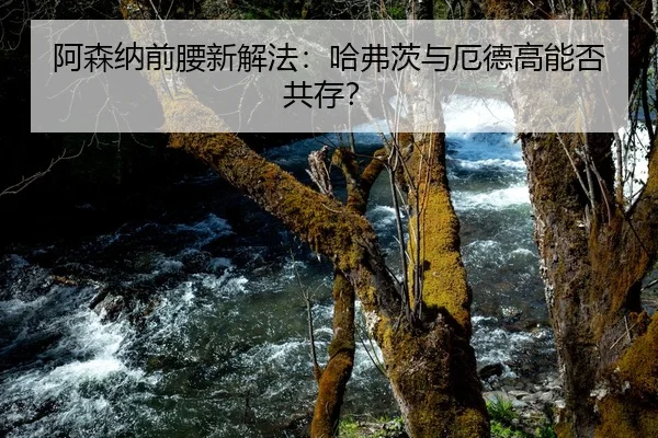 阿森纳前腰新解法：哈弗茨与厄德高能否共存？