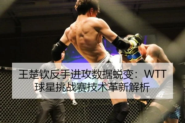 wang-chu-qin-fan-shou-jin-gong-shu-ju-tui-bian-qiu-xing-tiao-zhan-sai-ji-shu-ge-xin-jie-xi-2-219.jpg